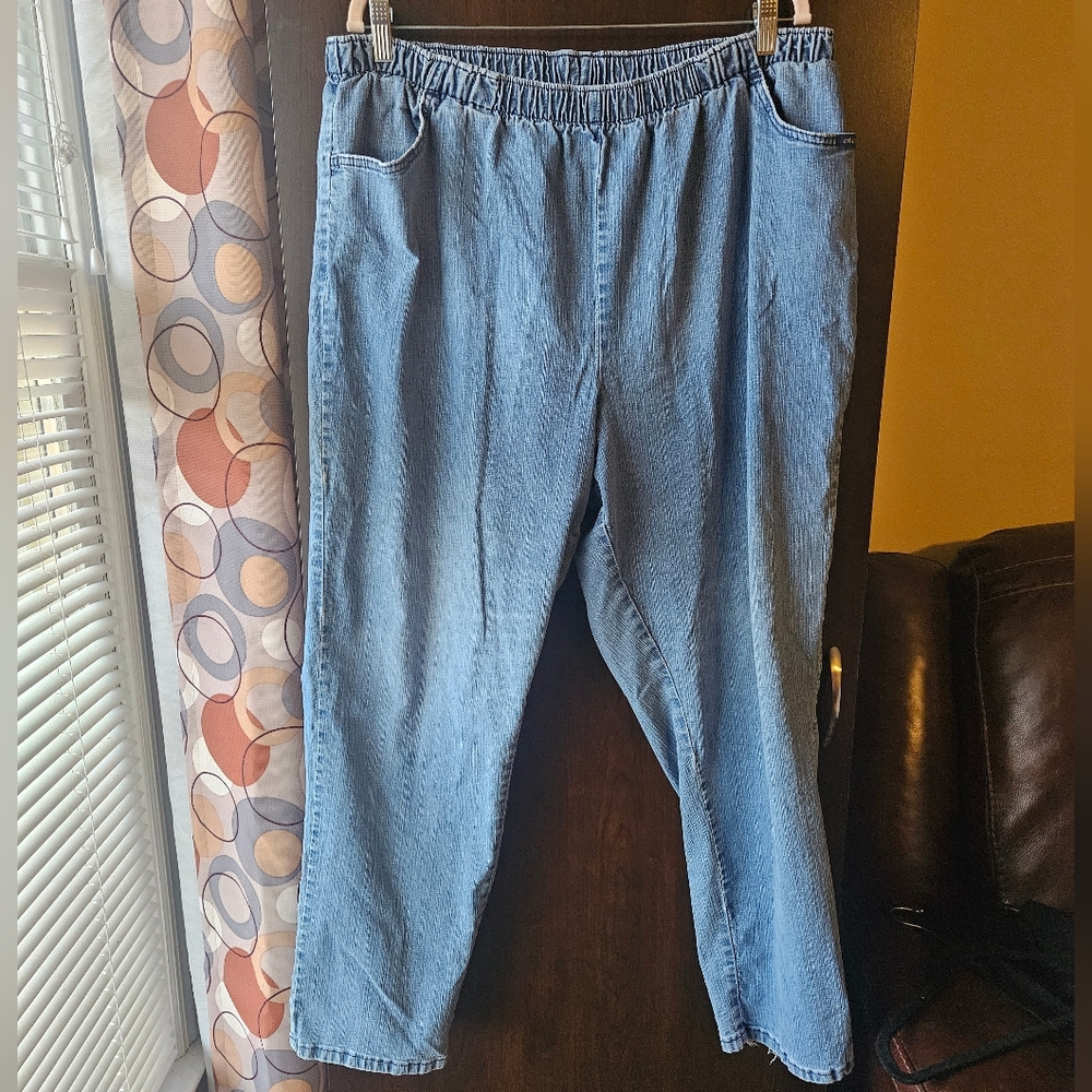 Elastic Waistband Jeans Size 24W